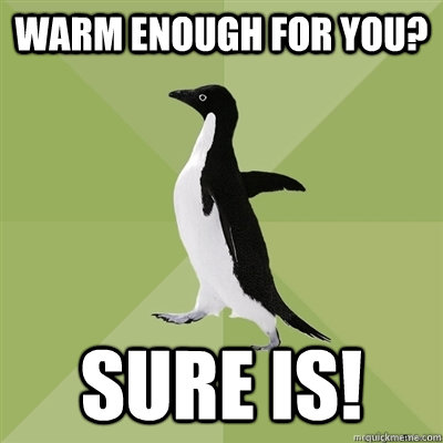 Warm enough for you? Sure is!  Socially Average Penguin