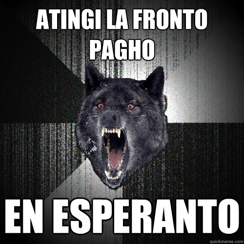 Atingi la fronto pagho
 EN ESPERANTO  Insanity Wolf