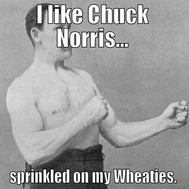 I LIKE CHUCK NORRIS... SPRINKLED ON MY WHEATIES. overly manly man