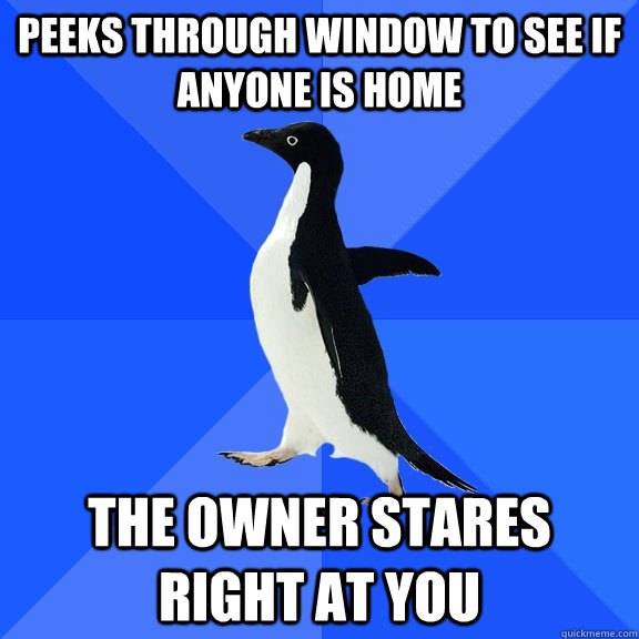 Peeks through window to see if anyone is home The owner stares right at you  Socially Awkward Penguin
