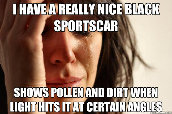 I have a really nice black sportscar  shows pollen and dirt when light hits it at certain angles  First World Problems