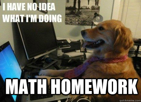 Math Homework  - Math Homework   I have no idea what Im doing dog