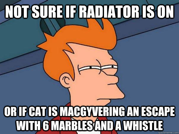 not sure if radiator is on Or if cat is MacGyvering an escape with 6 marbles and a whistle  Futurama Fry