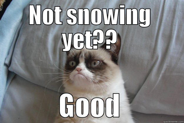 Snow days - NOT SNOWING YET?? GOOD Grumpy Cat