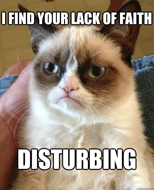 I FIND YOUR LACK OF FAITH DISTURBING  Grumpy Cat