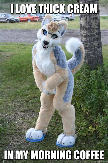 I love thick cream in my morning coffee  Misunderstood furry