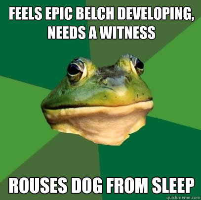 feels epic belch developing, needs a witness rouses dog from sleep   Foul Bachelor Frog