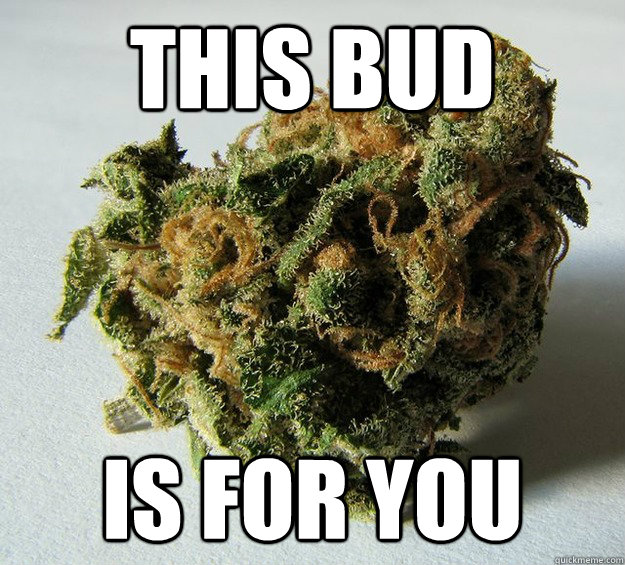 This Bud is for you - This Bud is for you  Weed bud