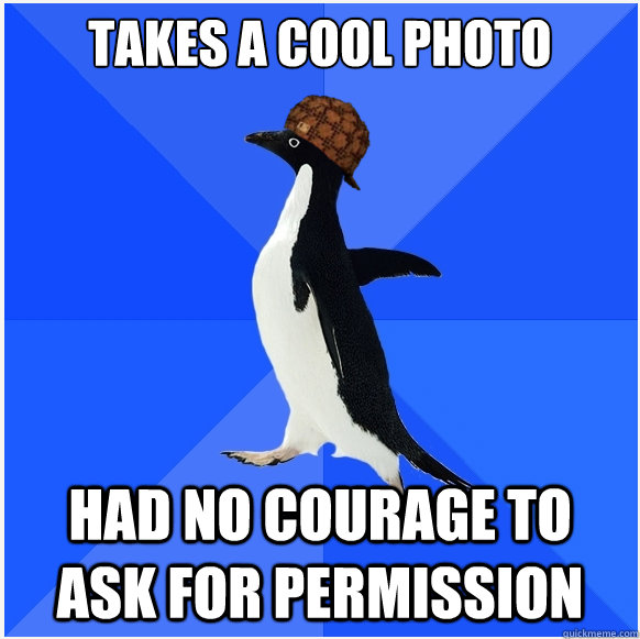 Takes a cool photo had no courage to ask for permission - Takes a cool photo had no courage to ask for permission  Scumbag Socially Awkward Penguin
