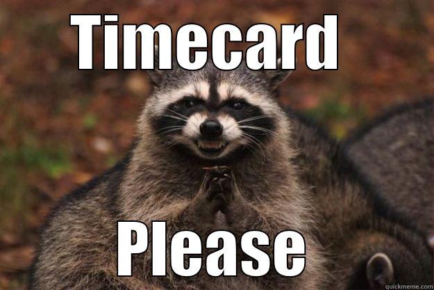 TIMECARD  PLEASE Evil Plotting Raccoon