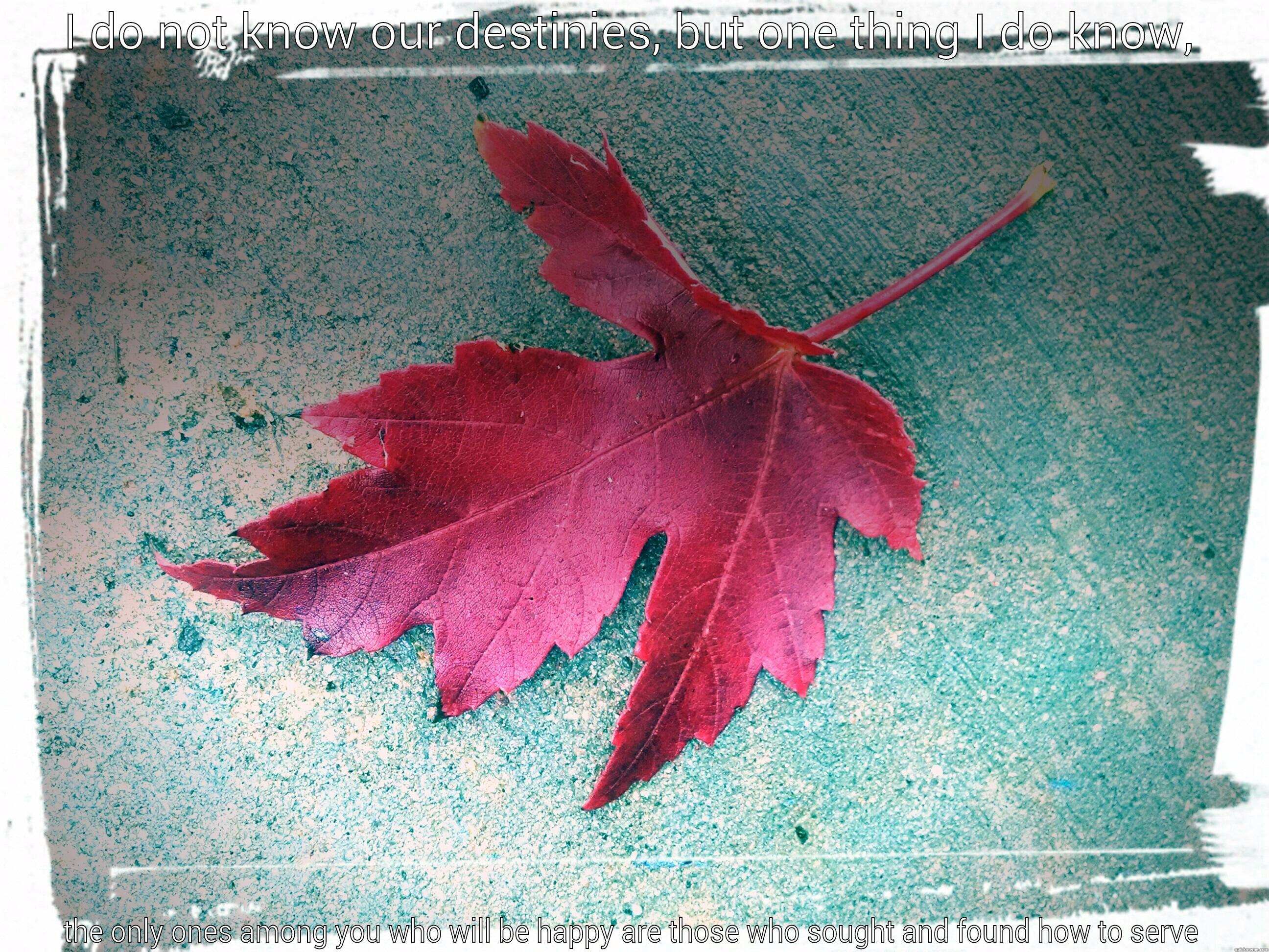 I DO NOT KNOW OUR DESTINIES, BUT ONE THING I DO KNOW, THE ONLY ONES AMONG YOU WHO WILL BE HAPPY ARE THOSE WHO SOUGHT AND FOUND HOW TO SERVE Misc