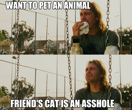 Want to pet an animal friend's cat is an asshole - Want to pet an animal friend's cat is an asshole  Misc