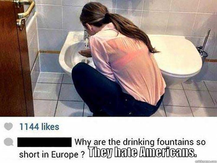 Bidet water fountain. -                                             THEY HATE AMERICANS.         Misc