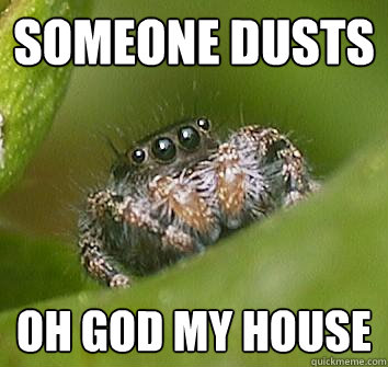 Someone dusts Oh god my house  Misunderstood Spider