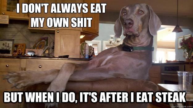 I don't always Eat 
My own shit But when I do, It's after I eat steak - I don't always Eat 
My own shit But when I do, It's after I eat steak  The Most Interesting Dog in the World
