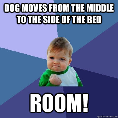 Dog moves from the middle to the side of the bed ROOM!  Success Kid