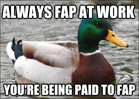 Always Fap at Work You're being paid to fap  Actual Advice Mallard
