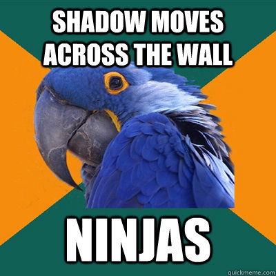 Shadow moves across the wall Ninjas  Paranoid Parrot