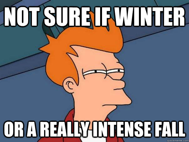 Not sure if winter Or a really intense fall  Futurama Fry