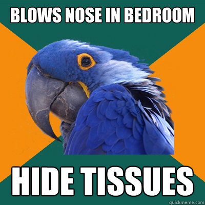 blows nose in bedroom hide tissues  Paranoid Parrot