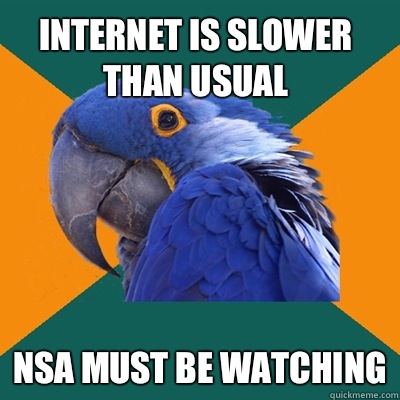 Internet is slower than usual  NSA must be watching - Internet is slower than usual  NSA must be watching  Misc