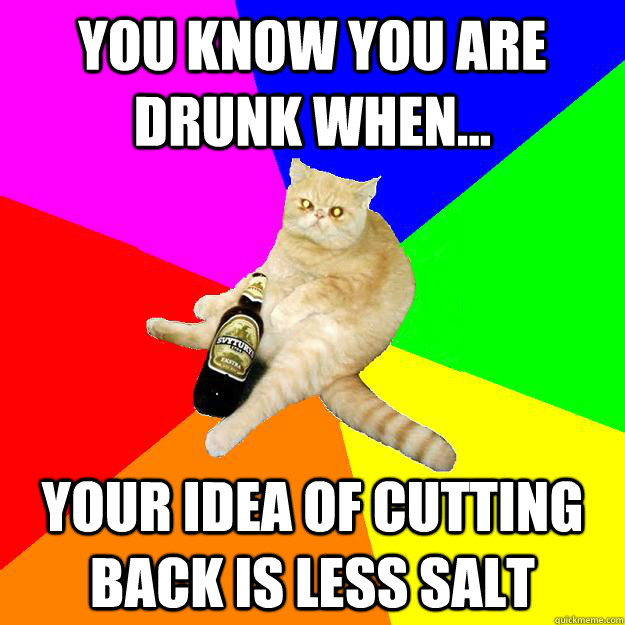 YOU KNOW YOU ARE DRUNK WHEN... YOUR IDEA OF CUTTING BACK IS LESS SALT  Drunk Cat