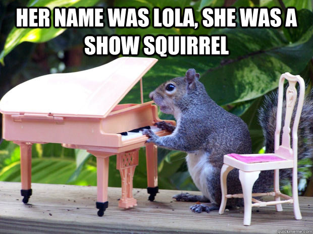 Her name was Lola, she was a show squirrel   