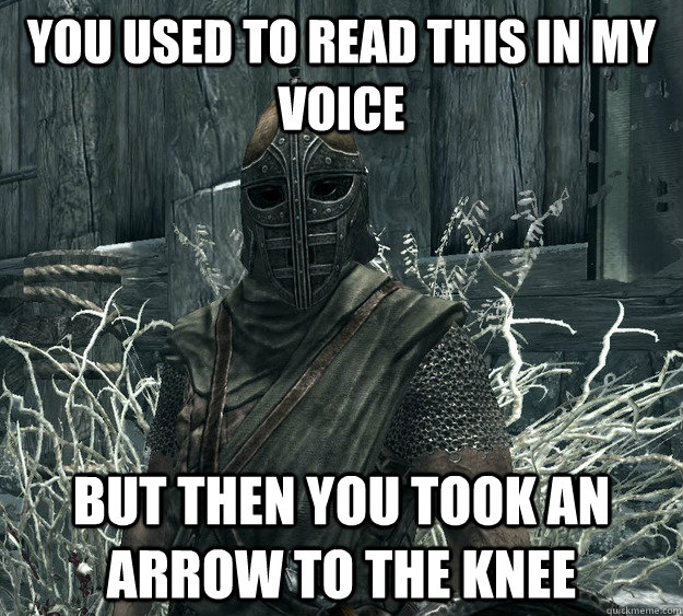 You used to read this in my voice But then you took an arrow to the knee  Skyrim Guard