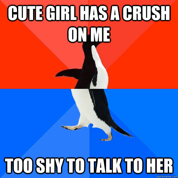 Cute girl has a crush on me Too shy to talk to her  Socially Awesome Awkward Penguin