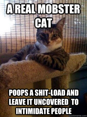A Real Mobster Cat Poops a shit-load and leave it uncovered  to intimidate people  The Most Interesting Cat in the World