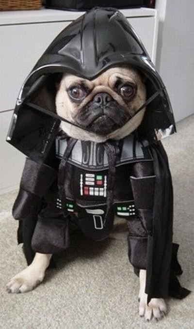 YOU ARE UNWISE  TO LOWER YOUR DEFENSES! Misc