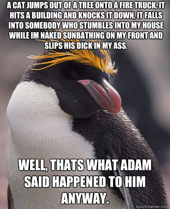 a cat jumps out of a tree onto a fire truck, it hits a building and knocks it down, it falls into somebody who stumbles into my house while im naked sunbathing on my front and slips his dick in my ass. well, thats what adam said happened to him anyway.  Socially Overconfident Penguin