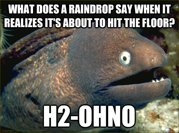 what does a raindrop say when it realizes it's about to hit the floor? H2-OHNO - what does a raindrop say when it realizes it's about to hit the floor? H2-OHNO  Bad Joke Eel