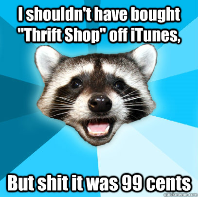 I shouldn't have bought 