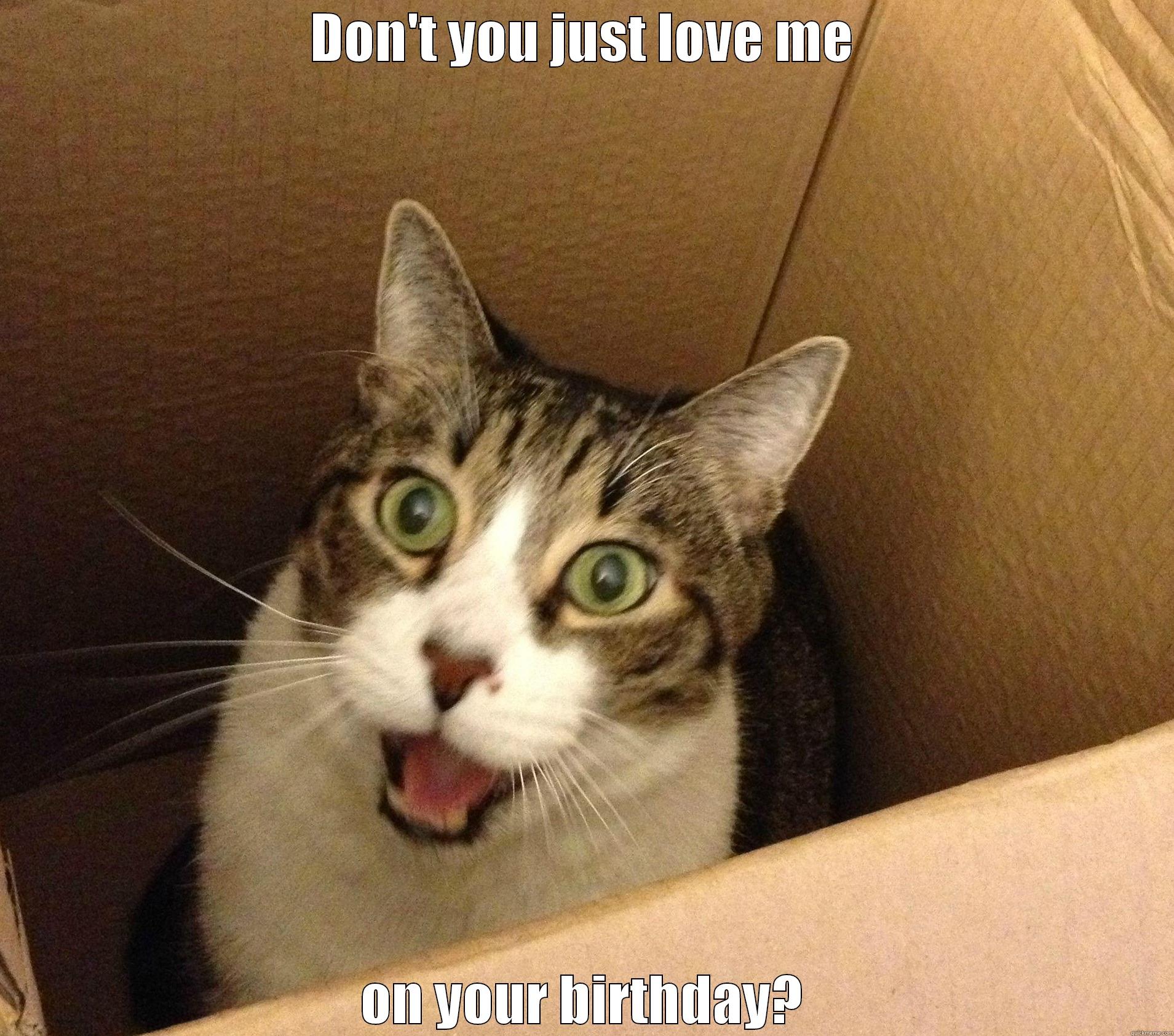 DON'T YOU JUST LOVE ME ON YOUR BIRTHDAY? Misc