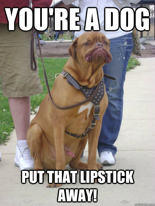 You're a dog Put that lipstick away!  