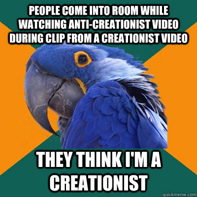 people come into room while watching anti-creationist video during clip from a creationist video They think i'm a creationist  Paranoid Parrot