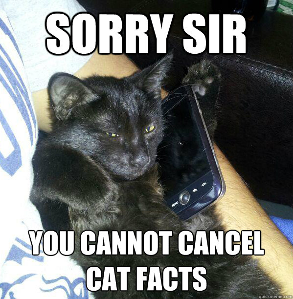 sorry sir you cannot cancel
cat facts - sorry sir you cannot cancel
cat facts  facts cat
