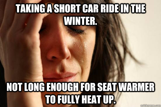 Taking a short car ride in the winter. not long enough for seat warmer to fully heat up.  First World Problems