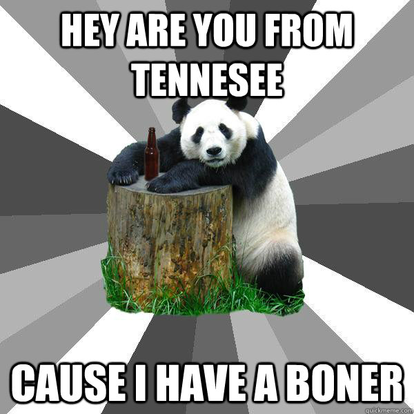 Hey are you from tennesee Cause i have a boner  Pickup-Line Panda