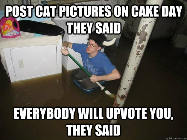 Post cat pictures on cake day they said Everybody will upvote you, they said  Do the laundry they said