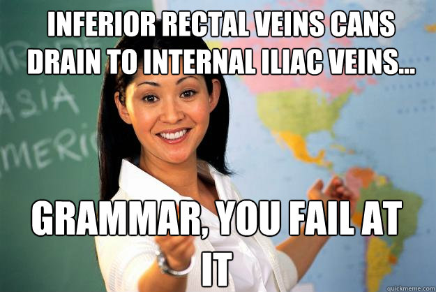 inferior rectal veins cans drain to internal iliac veins... grammar, you fail at it  Unhelpful High School Teacher
