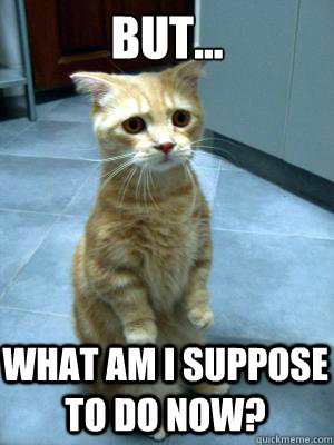 but... what am I suppose to do now? - but... what am I suppose to do now?  sad cat blog