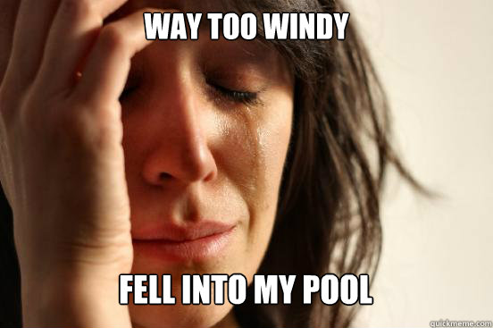 way too windy Fell into my pool Caption 3 goes here  First World Problems