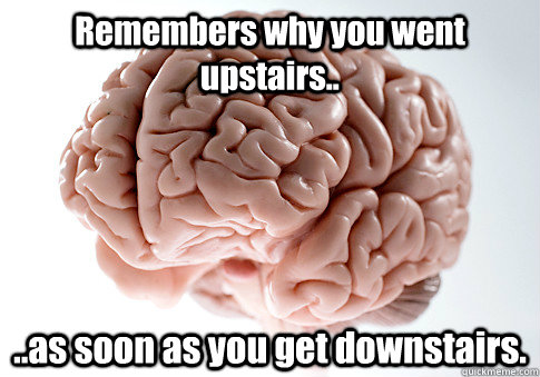 Remembers why you went upstairs.. ..as soon as you get downstairs.   Scumbag Brain