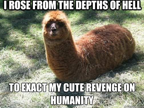 I rose from the depths of hell to exact my cute revenge on humanity   Alpacapillar
