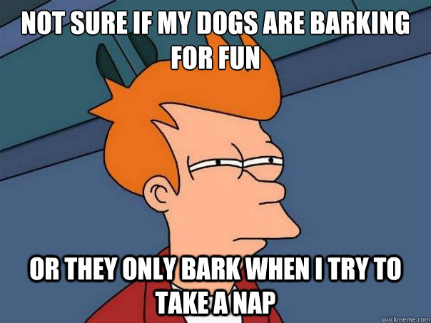 Not sure if my dogs are barking for fun or they only bark when i try to take a nap  Futurama Fry