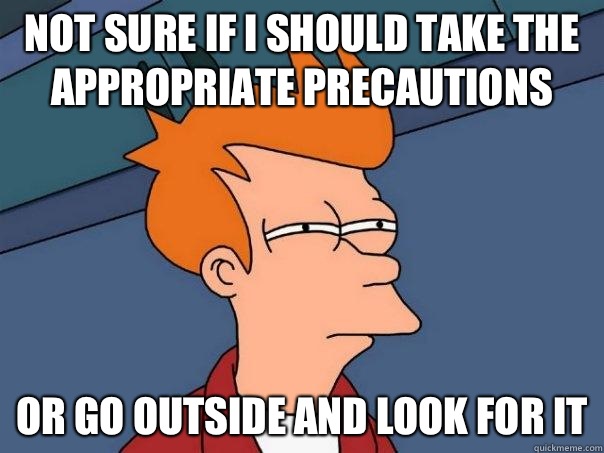 Not sure if I should take the appropriate precautions Or go outside and look for it  Futurama Fry