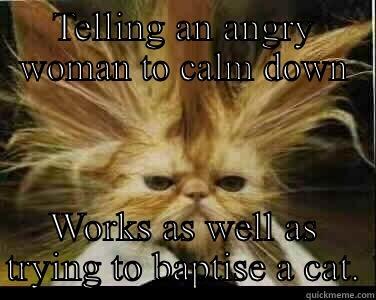 TELLING AN ANGRY WOMAN TO CALM DOWN WORKS AS WELL AS TRYING TO BAPTISE A CAT. Misc