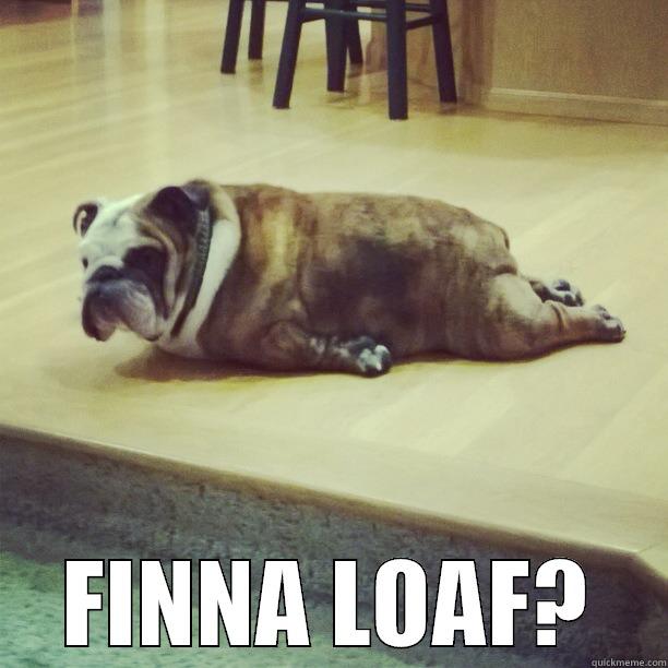  FINNA LOAF? Misc